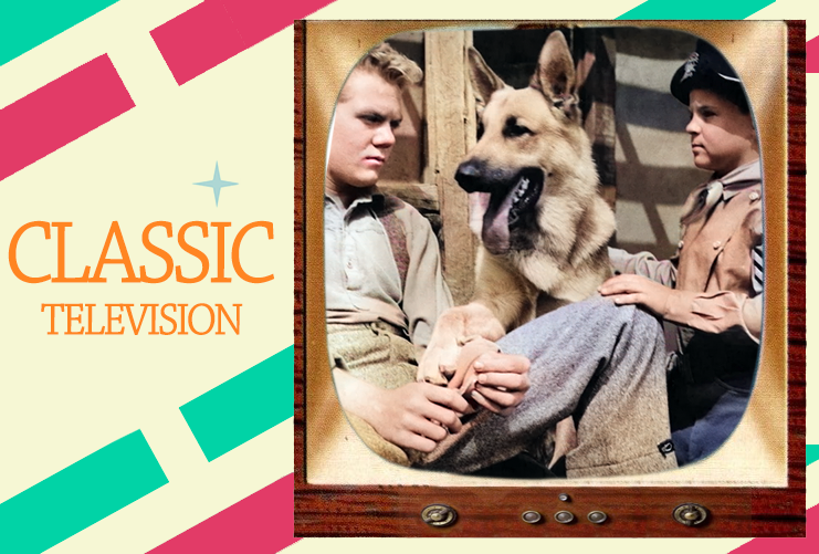 LJACards "Classic Television" TV History Informational Trading Cards ACEO