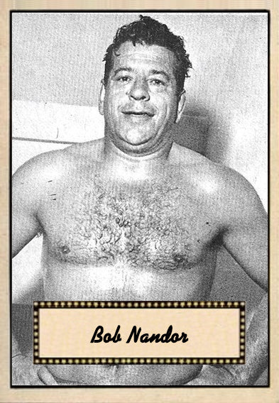 2021 LJACards "Legends of the Ring 3" History of Wrestling Trading Cards ACEO