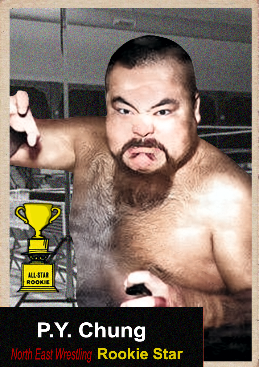 2025 LJACards "1953 Year in Wrestling" History of Wrestling Trading Cards ACEO