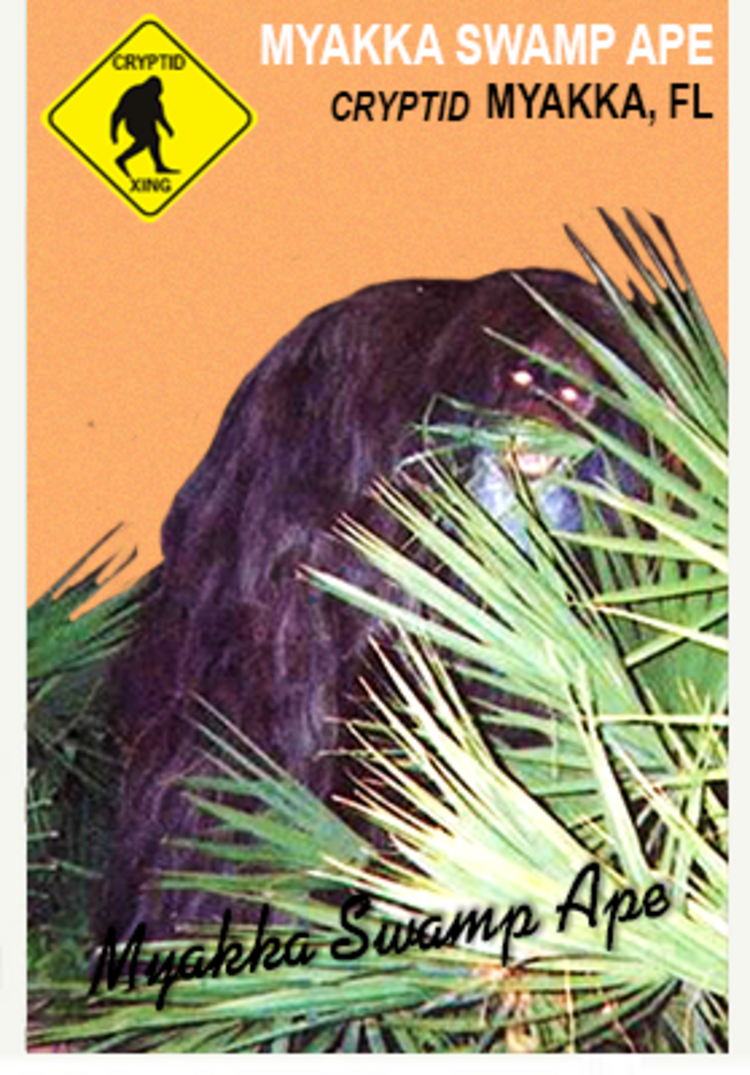 LJACards "Weird America" Cryptozoology Mystery Trading Cards ACEO