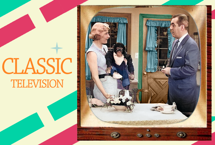 LJACards "Classic Television" TV History Informational Trading Cards ACEO