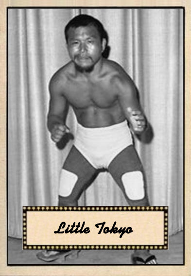 2021 LJACards "Legends of the Ring 3" History of Wrestling Trading Cards ACEO