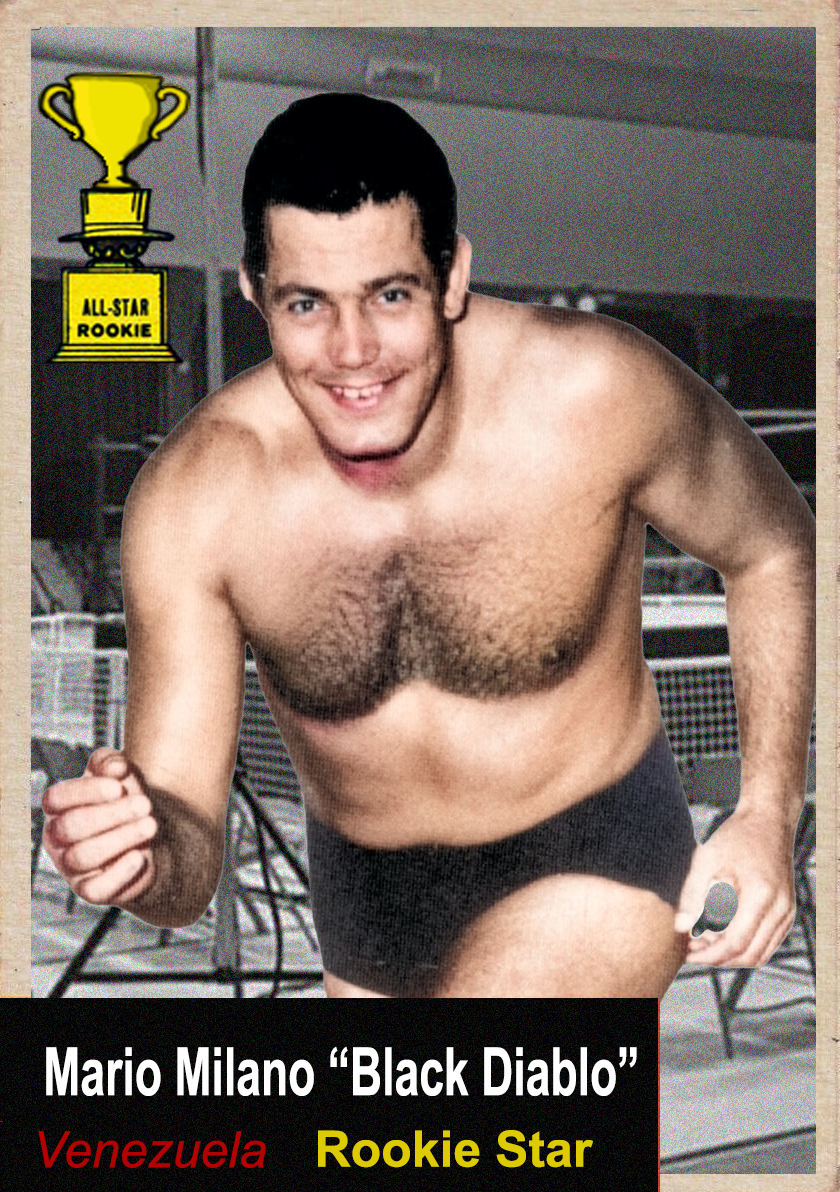 2025 LJACards "1953 Year in Wrestling" History of Wrestling Trading Cards ACEO
