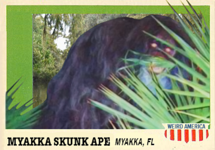 LJACards "Weird America" Cryptozoology Mystery Trading Cards ACEO