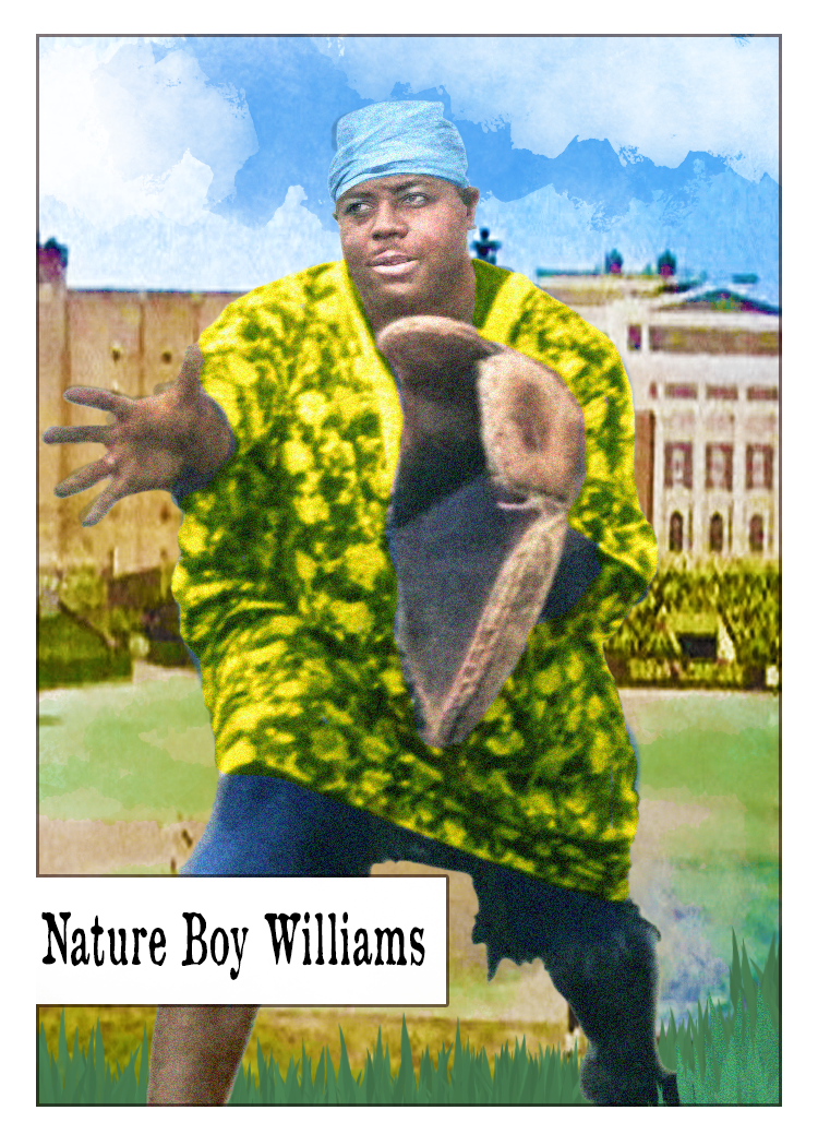 2023 LJACards Negro League Legends Baseball Trading Cards ACEO