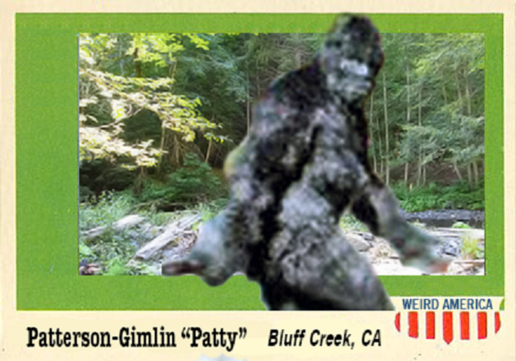 LJACards "Weird America" Cryptozoology Mystery Trading Cards ACEO