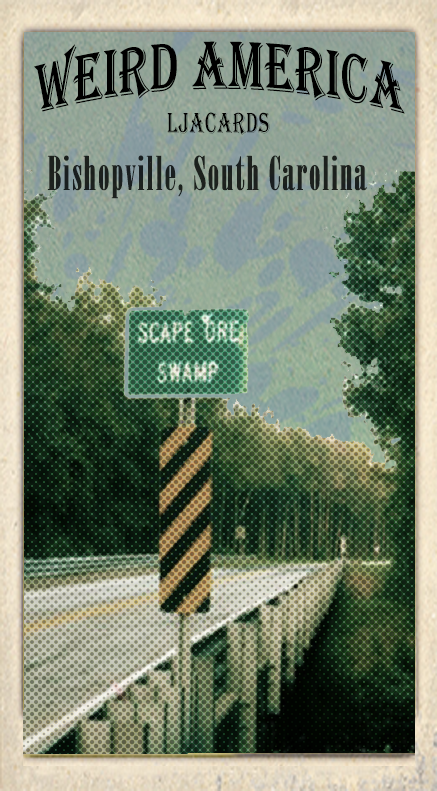LJACards "'Weird Places in America" Limited Edition Trading Card Set ACEO